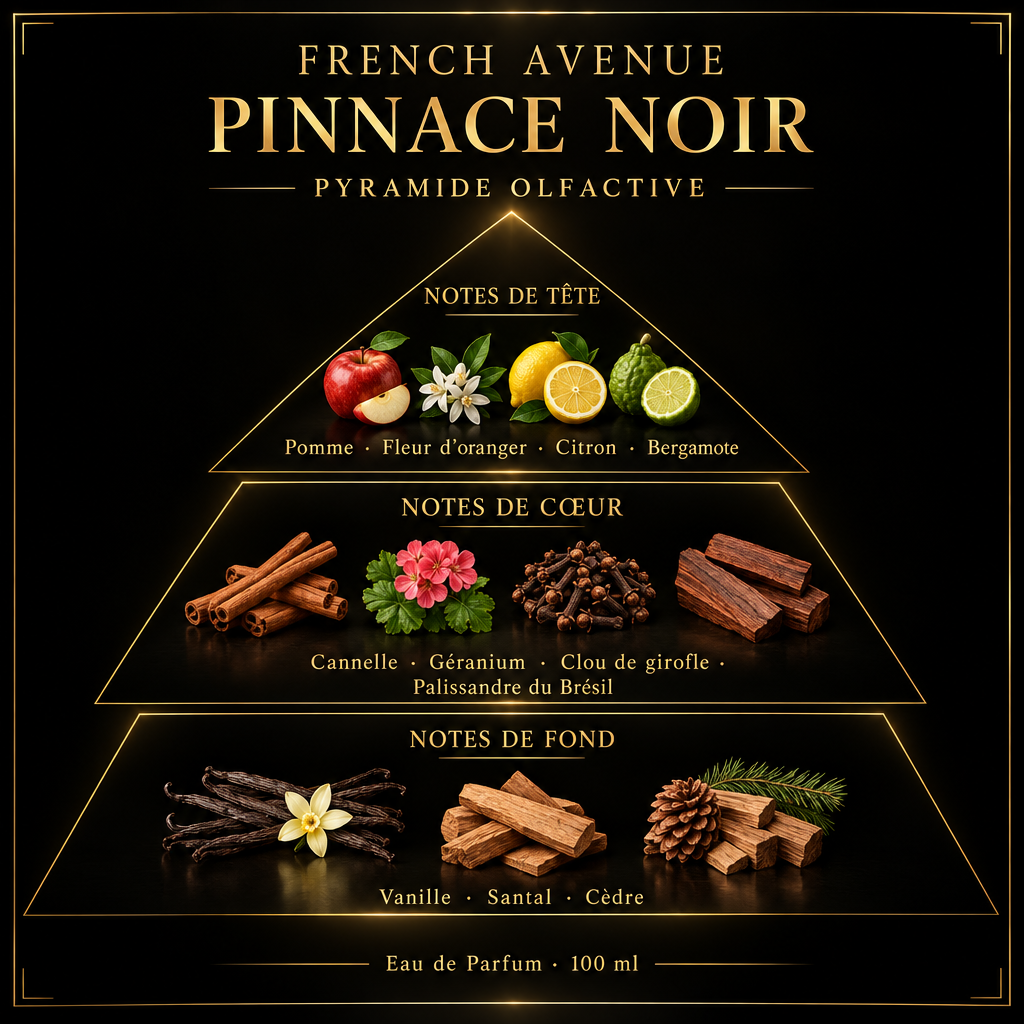 Pyramide olfactive de French Avenue Pinnace Noir – notes de tête, de cœur et de fond
