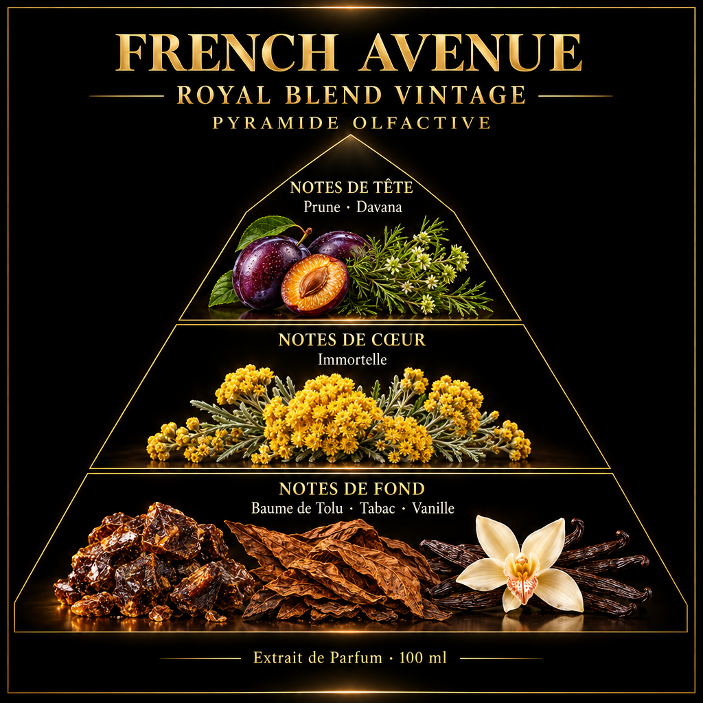Pyramide olfactive de French Avenue Royal Blend Vintage – notes de tête, de cœur et de fond